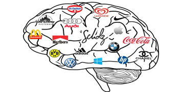 上海品牌策劃公司 從“你是誰”到“你想處于什么位置”——品牌戰(zhàn)略與市場營銷策劃的核心路徑