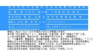 濟(jì)南市場營銷策劃費(fèi)專用增值稅進(jìn)項(xiàng)發(fā)票抬頭詳解